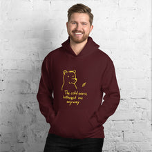 Load image into Gallery viewer, The cold never bothered me... Unisex Hoodie