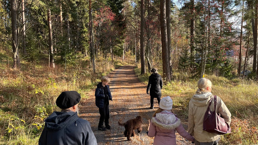 Three generations of a Finnish family walking a curly-haired dog along a sunlit forest path covered in autumn leaves, photo by Joel Willans