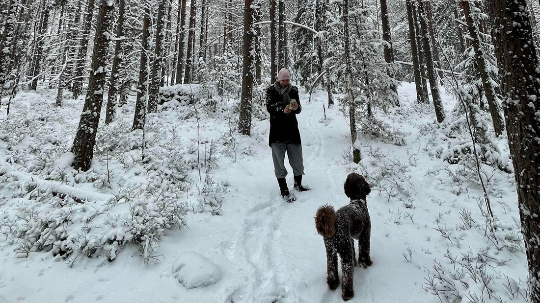 Finnish Stereotypes: What's True and What's Nonsense