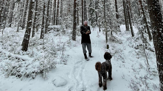 Finnish Stereotypes: What's True and What's Nonsense