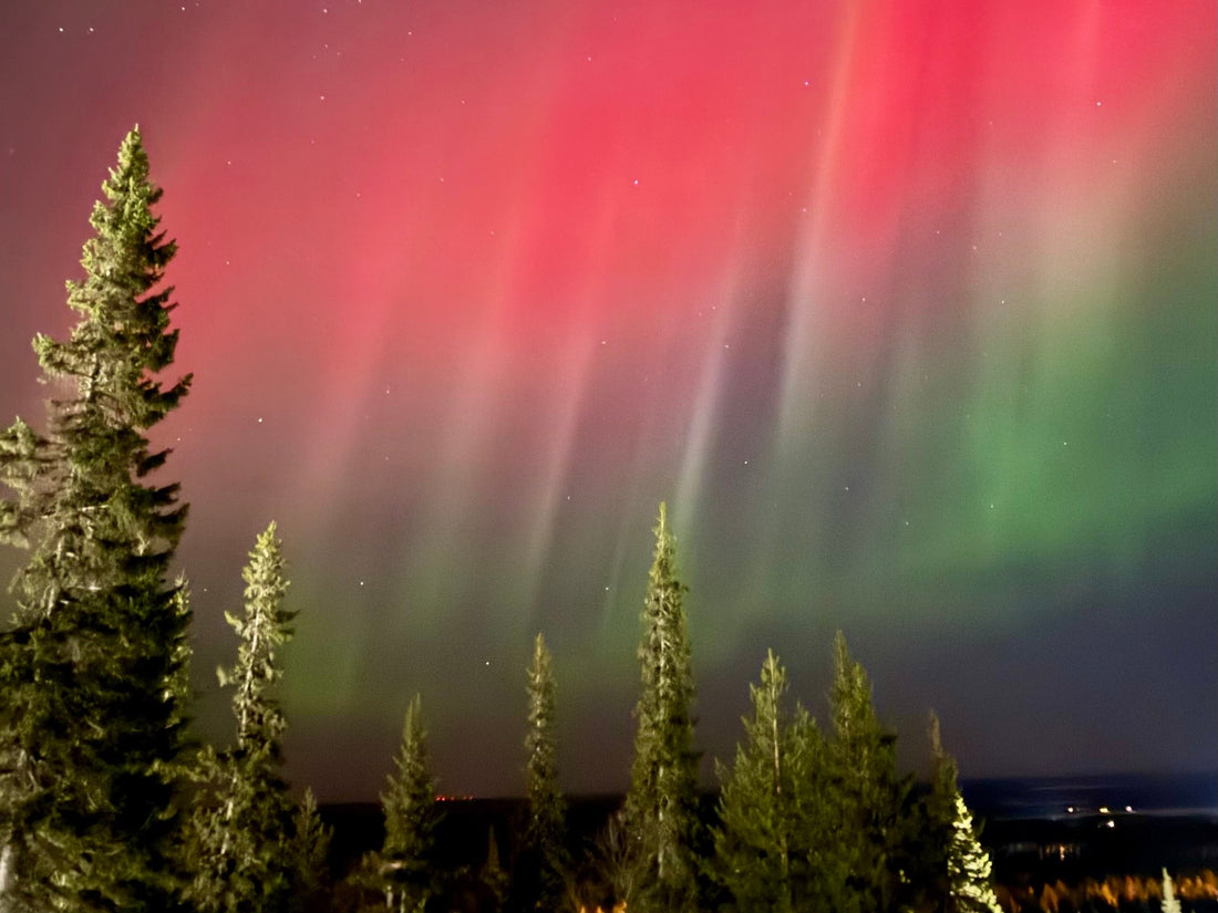 Aurora borealis over pine forest in Finnish Lapland