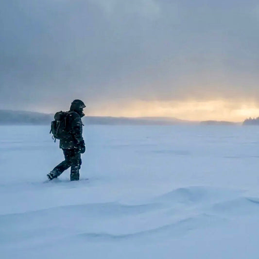 What Does Sisu Mean in Finnish?