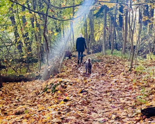 Woman and a brown dog walking a leaf-covered forest path in full ruska colour in Finland