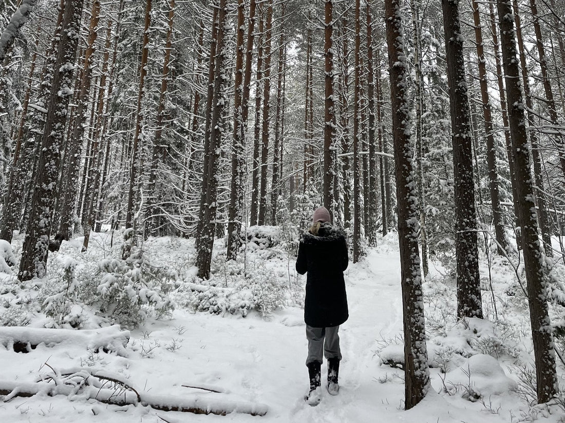A woman walking a snow covered path through a Finnish pine forest, seen from behind. Photo: Joel Willans