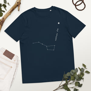 Northern Star 2 Unisex organic cotton t-shirt