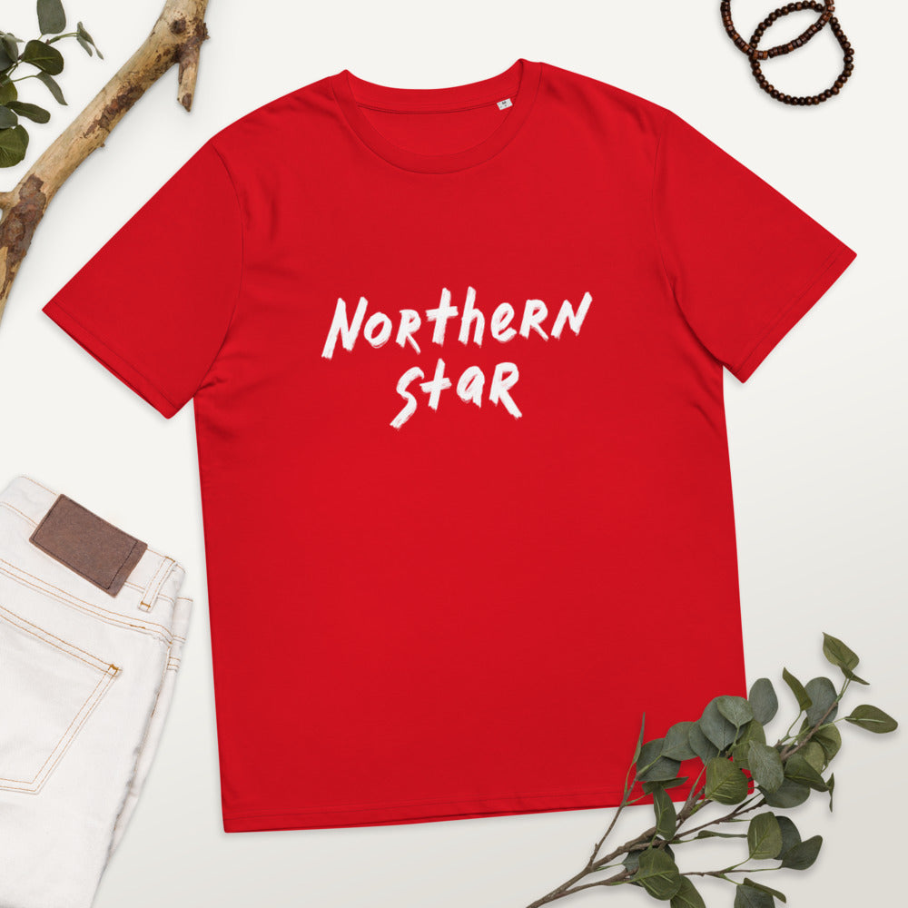 Northern Star Finnish Organic Nature T-Shirt - Finnish t-shirt from Very Finnish Problems